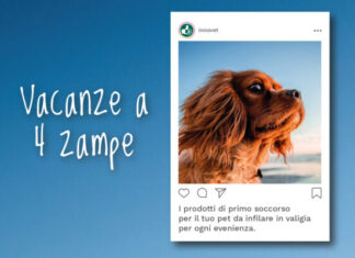 Innovet lancia la “Guida Vacanze a 4 Zampe”: consigli e soluzioni per un’estate pet-friendly Innovet