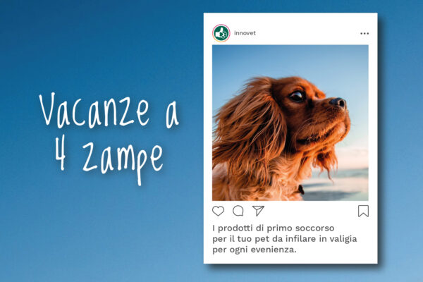 Innovet Innovet