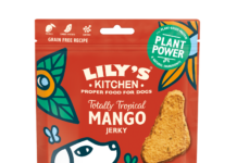 Lily’s Kitchen: le buone abitudini dei pet in estate Lily's Kitchen