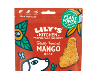 Lily’s Kitchen: le buone abitudini dei pet in estate Lily's Kitchen