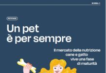 Osservatorio Immagino 19