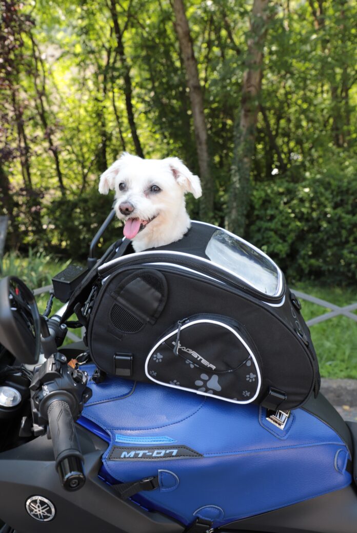 PUPPY 30L Bagster