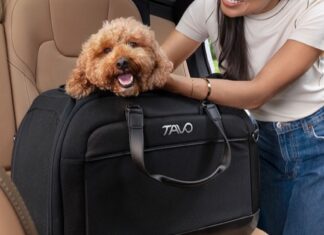 Tavo Pets
