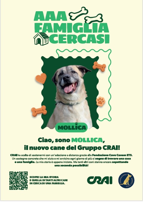 Crai Crai