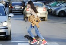 Animali in Città 2026: Modena trionfa per il benessere animale Modena