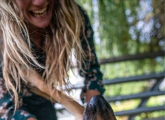 Giornata del Cane: ecco le razze canine e feline più amate del 2026 Rover