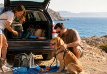 Trovaprezzi.it, vacanze con i pet: boom del +22,5% in due anni per gli accessori Trovaprezzi.it