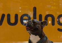 Vueling