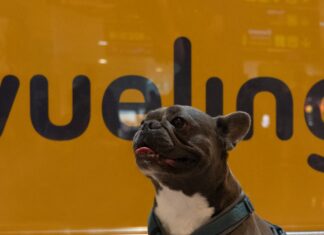 Vueling