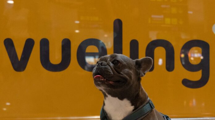 Vueling