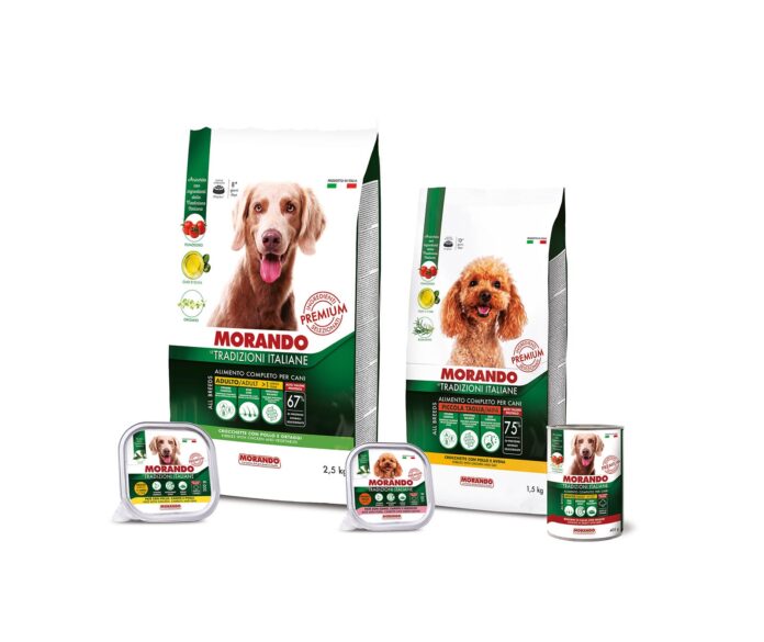 Morando_letradizioni_italiane_cane