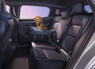 Renault Scenic E-Tech Electric integra gli accessori per i pet Renault