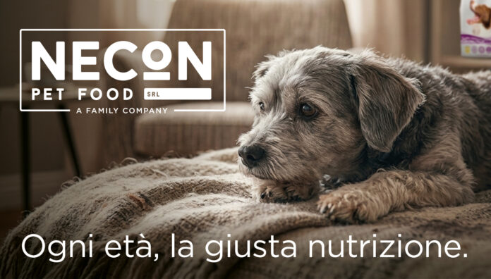 696x396 cani anziani 4