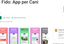 Amico Fido: la tecnologia partecipativa per la sicurezza e la tutela dei pet Amico Fido