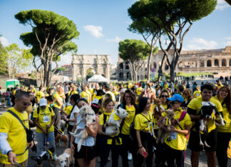Arcaplanet sponsor della Dog Run di Roma: partnership e adozioni Arcaplanet