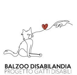 Balzoo Disabilandia Balzoo Disabilandia