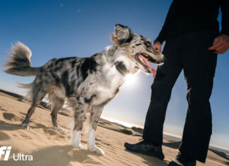 Fi lancia Fi Ultra: il primo tracker per cani con connessione satellitare Starlink Fi