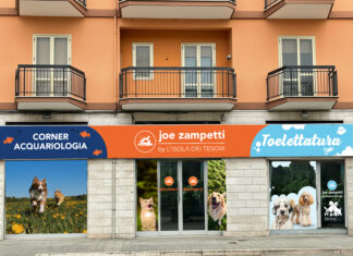 Joe Zampetti: doppietta di aperture in Puglia