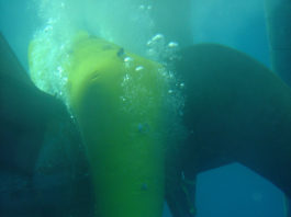 Wärtsilä has received an important service level recognition from Lloyd’s Register