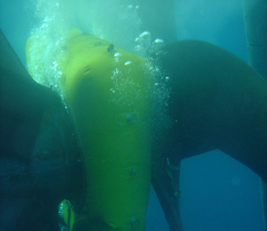 Wärtsilä has received an important service level recognition from Lloyd’s Register