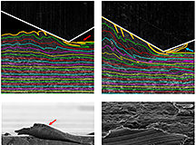 Unknown mechanism for wear in metals