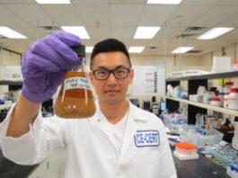 Enhancing Biofuel Yields from Biomass with Novel New Method