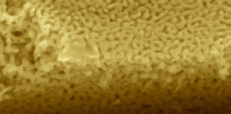 Research findings point way to designing crack-resistant metals