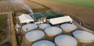 Mattei and Ammongas for a green industry