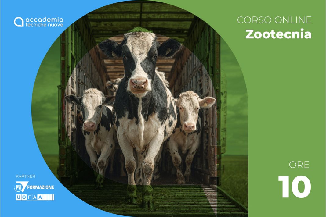 Benessere animali trasporto_02