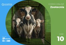 Il benessere animale durante il trasporto specie: ungulati – D.M. 6 sett. 2023