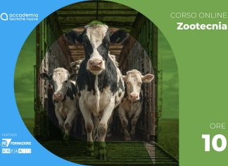 Il benessere animale durante il trasporto specie: ungulati – D.M. 6 sett. 2023