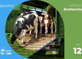 Guardiani e conducenti per il trasporto di animali vivi