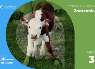 Inseminazione artificiale bovina nazionale – Bergamo