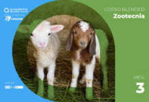 Corso Fecondazione artificiale (F.A.) Ovicaprina e gestione dell’allevamento della capra da latte