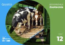 Guardiani e conducenti per il trasporto di animali vivi – II Edizione