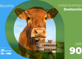 Fecondazione artificiale bovina nazionale Bergamo