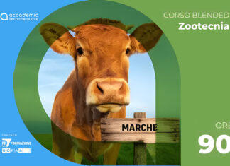 Fecondazione artificiale bovina nazionale Marche