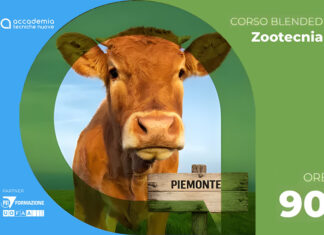 Fecondazione artificiale bovina nazionale Piemonte