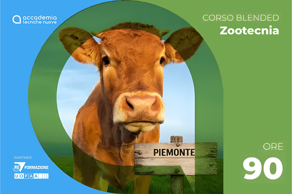 Fa_bovina_piemonte