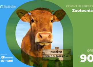 Fecondazione artificiale bovina Tidolo di Sospiro (CR)