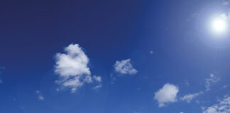 circolazione forzata