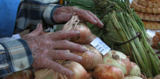 Centre of Excellence in Rwanda aims to support African farmers and rural communities