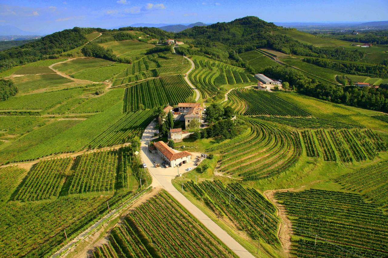 Torre Rosazza_Tenute Genagricola