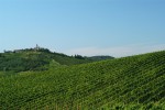 È il Collio il più bel paesaggio vinicolo italiano. Parola di Vinarius