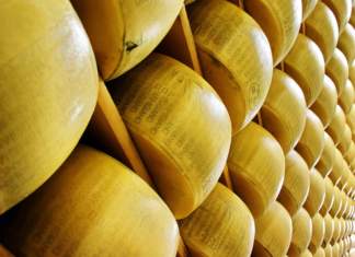 Parmigiano Reggiano: Approvato il bilancio preventivo 2018. Previsti ricavi del + 30% parmigiano reggiano