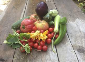 Al Festival Internazionale di Cultura e Cucina Vegetariana si sfidano 8 chef cucina vegetariana