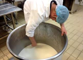 Carozzi formaggi UE Latte in Polvere