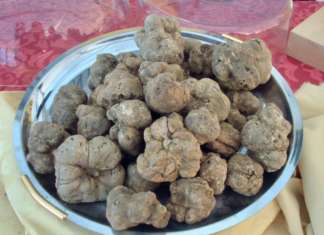 tartufo