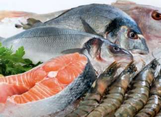 Grossisti food
