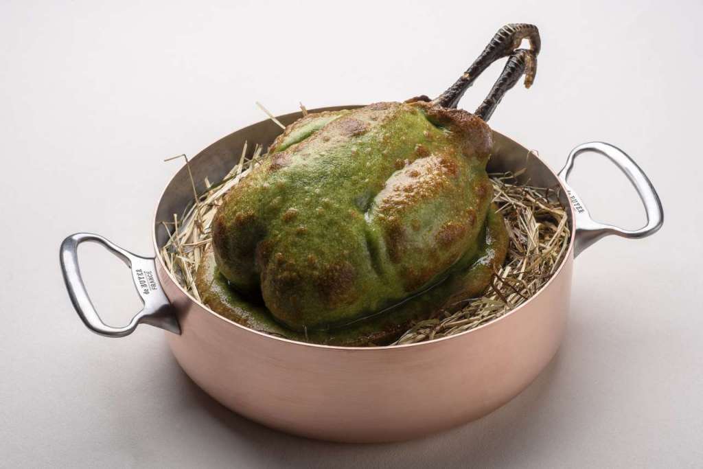 pollo